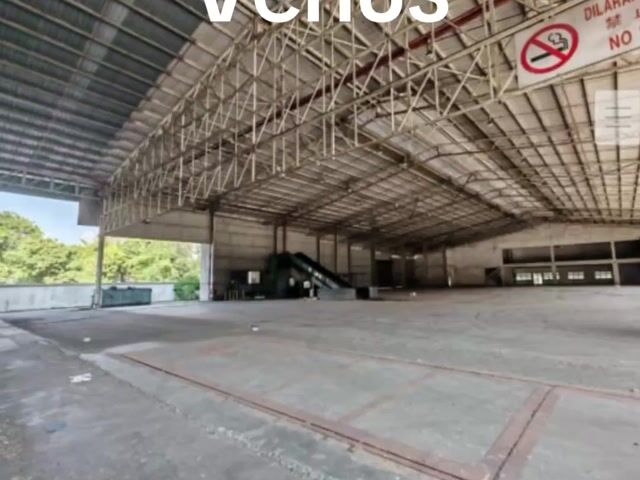 Video Image 1