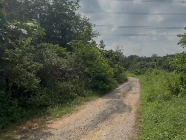 Video Image 1