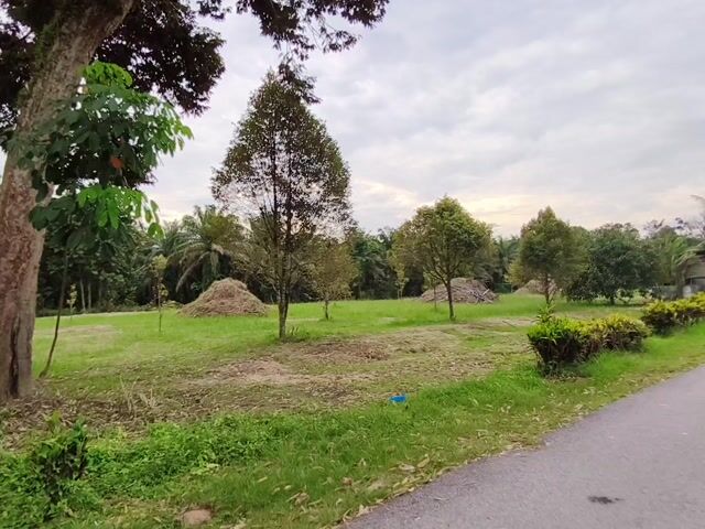 Video Image 1