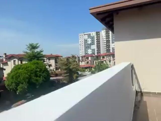 Video Image 1