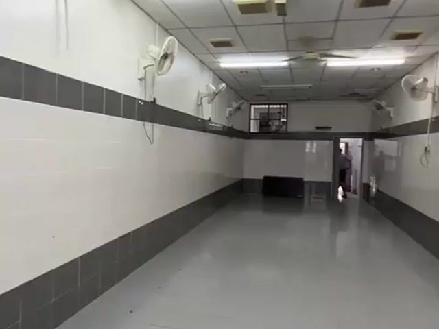 Video Image 1
