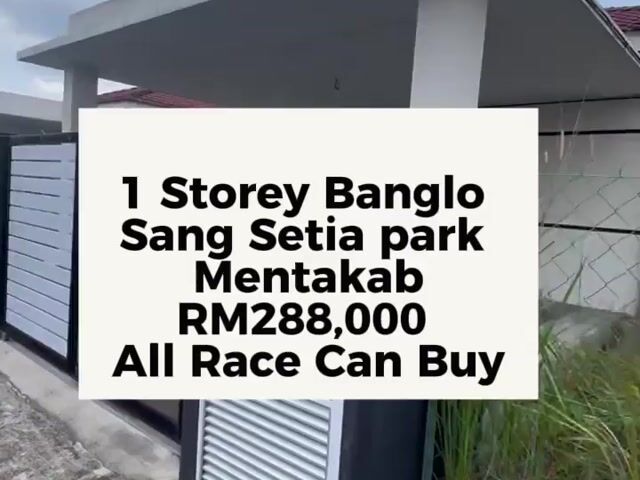 Video Image 1