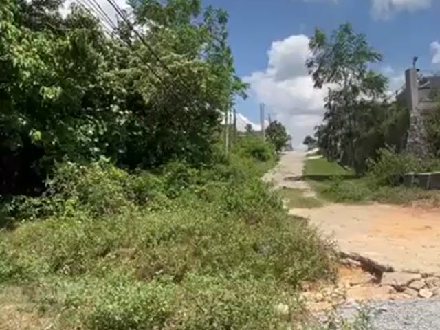 Video Image 1