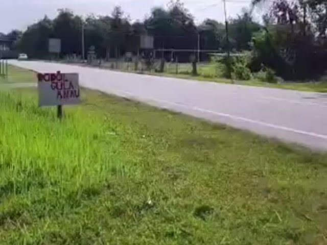 Video Image 1