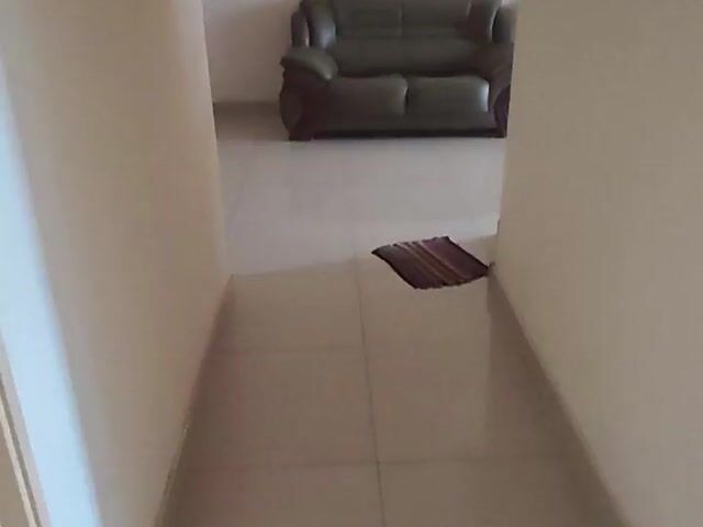 Video Image 1