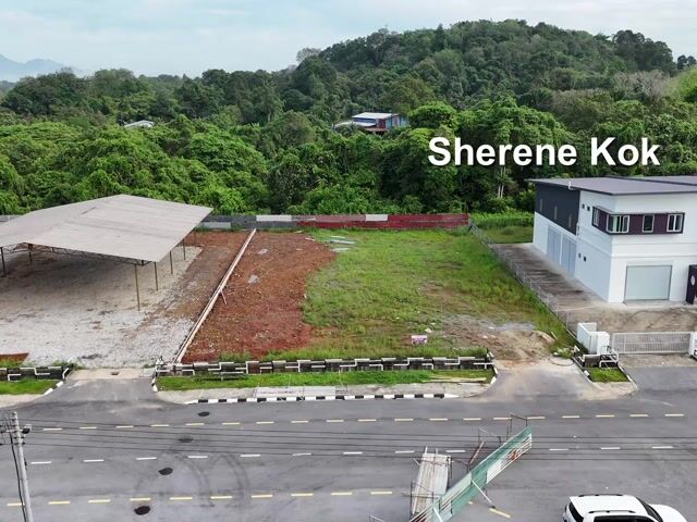 Video Image 1