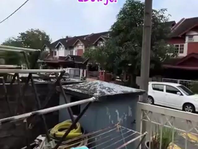 Video Image 1