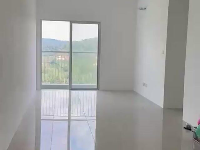 Video Image 1