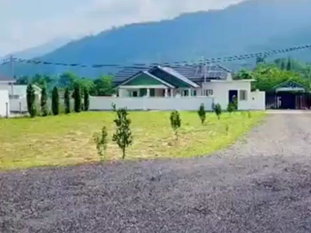 Video Image 1