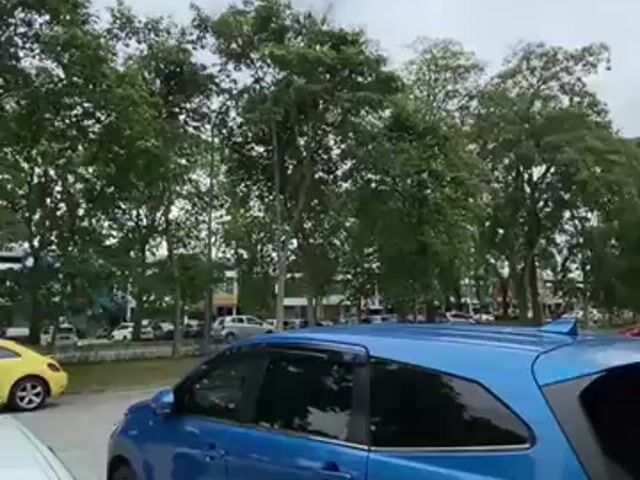 Video Image 1