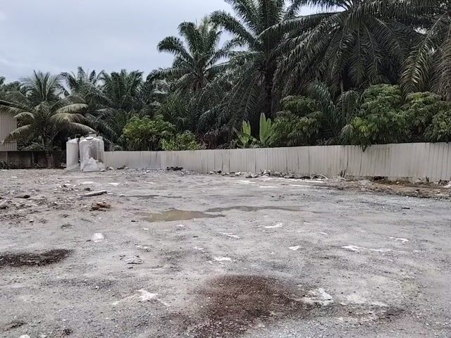 Video Image 1