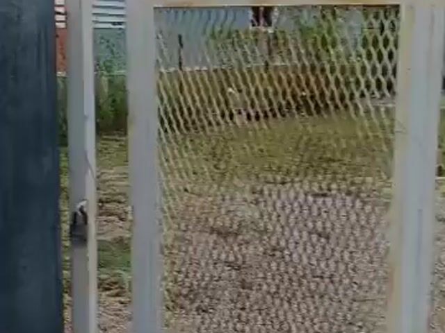 Video Image 1