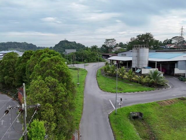 Video Image 1