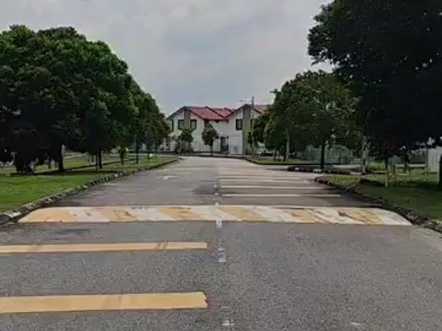 Video Image 1