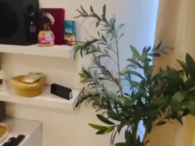 Video Image 1