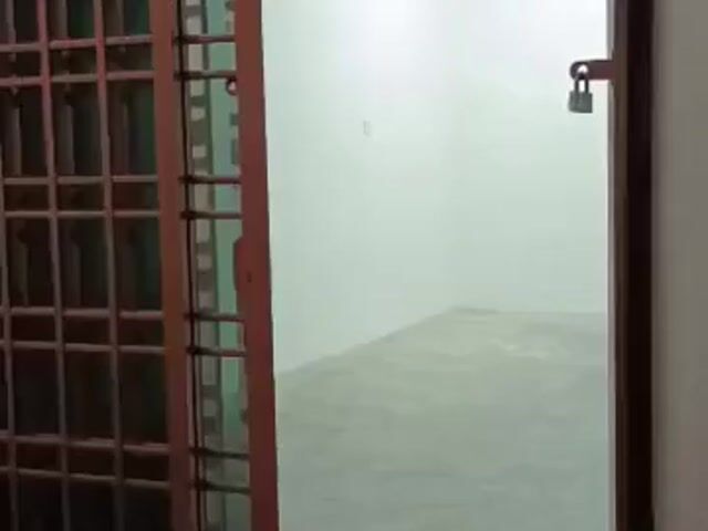 Video Image 1