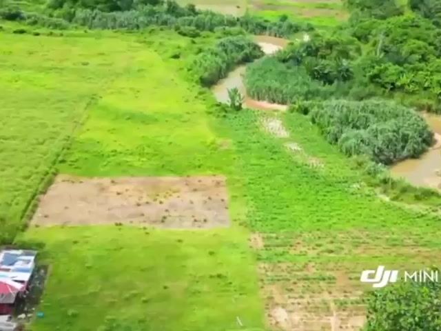 Video Image 1
