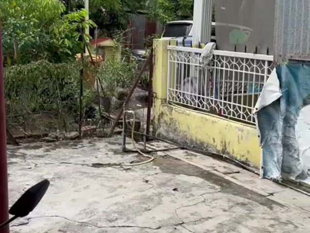 Video Image 1