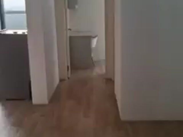 Video Image 1