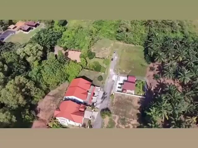 Video Image 1
