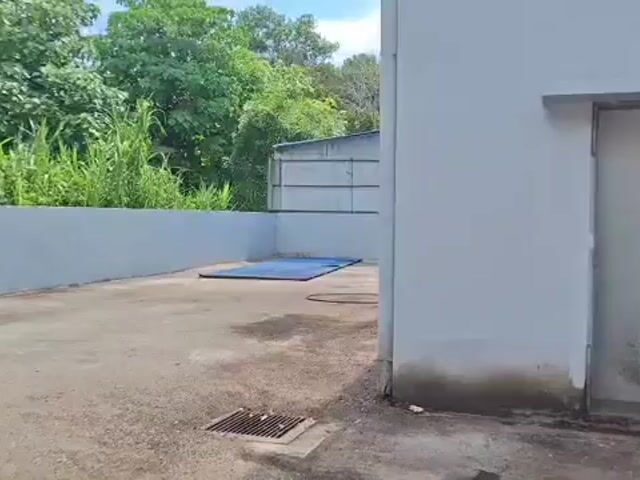 Video Image 1