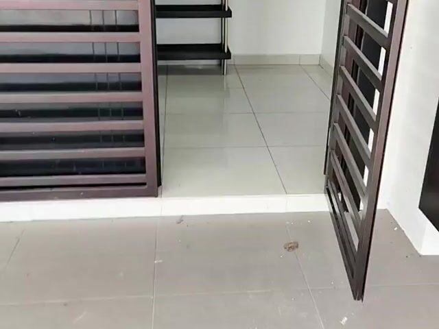 Video Image 1