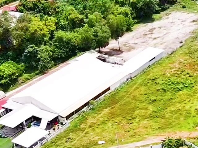Video Image 1