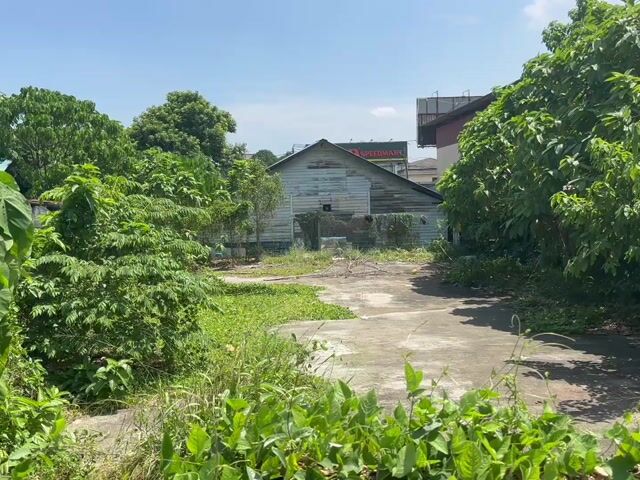 Video Image 1