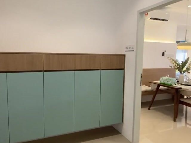 Video Image 1