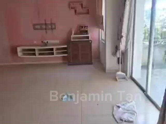 Video Image 1