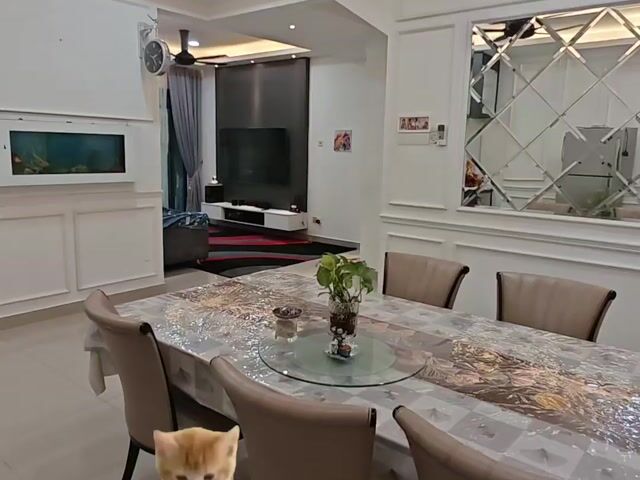 Video Image 1