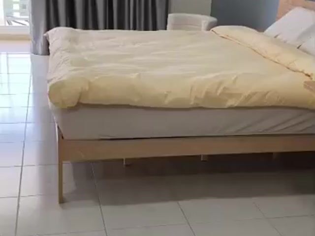 Video Image 1