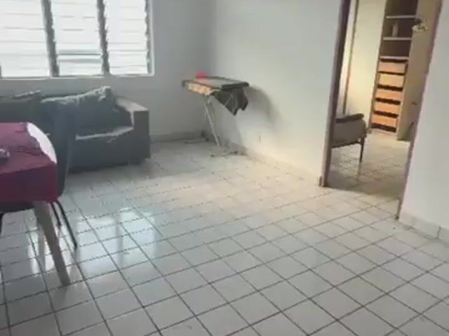 Video Image 1