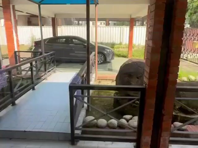 Video Image 1