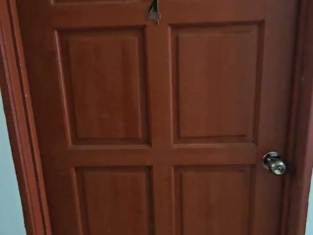 Video Image 1