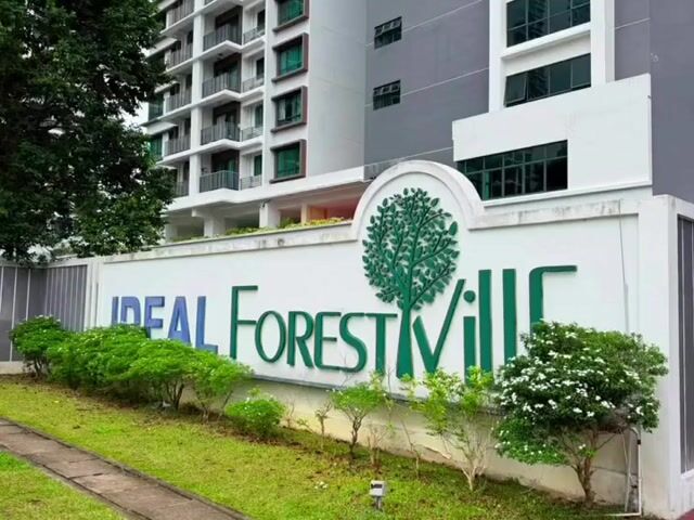 Video Image 1