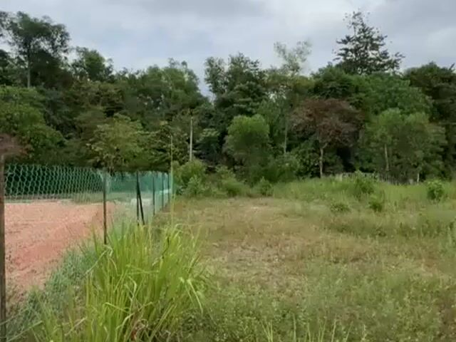 Video Image 1