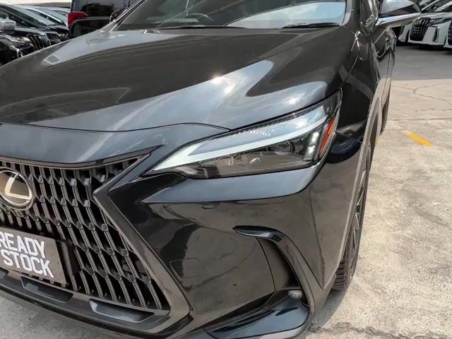 2024 Lexus NX250 2.5 (A) SUV - 1
