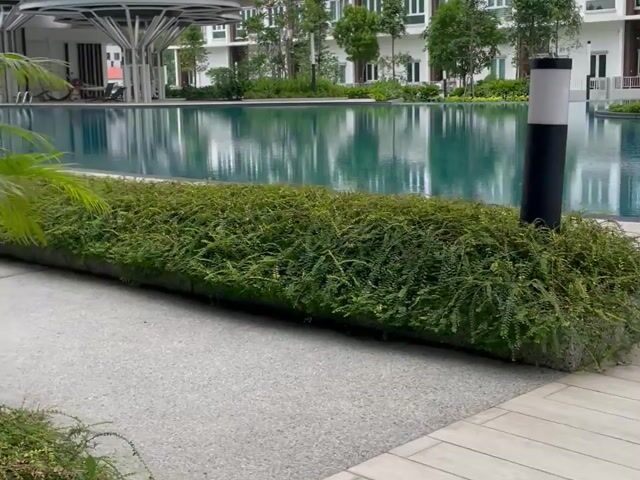 Video Image 1