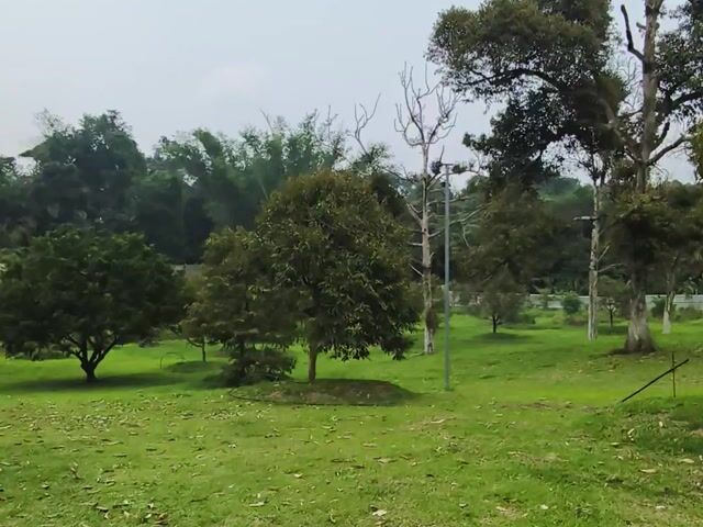Video Image 1