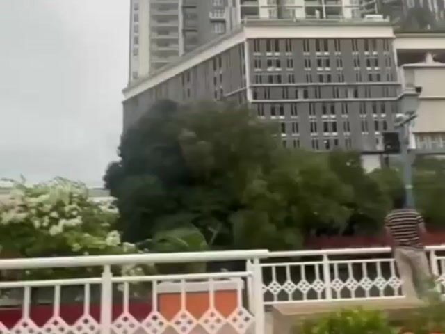 Video Image 1