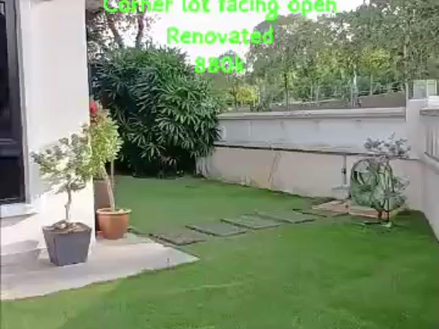 Video Image 1