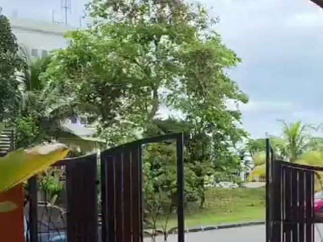 Video Image 1