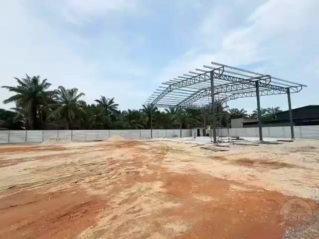 Video Image 1