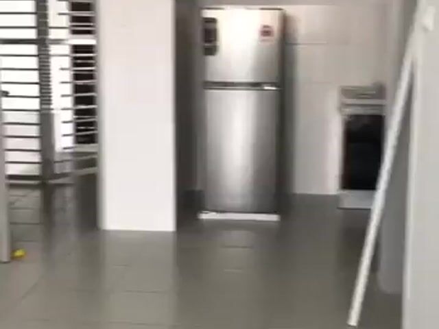 Video Image 1