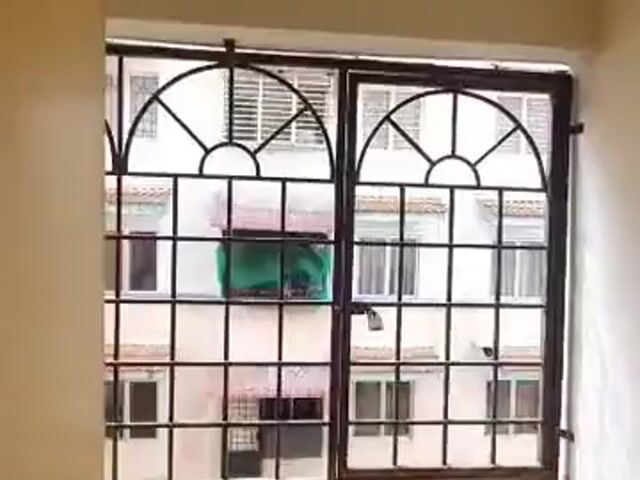 Video Image 1