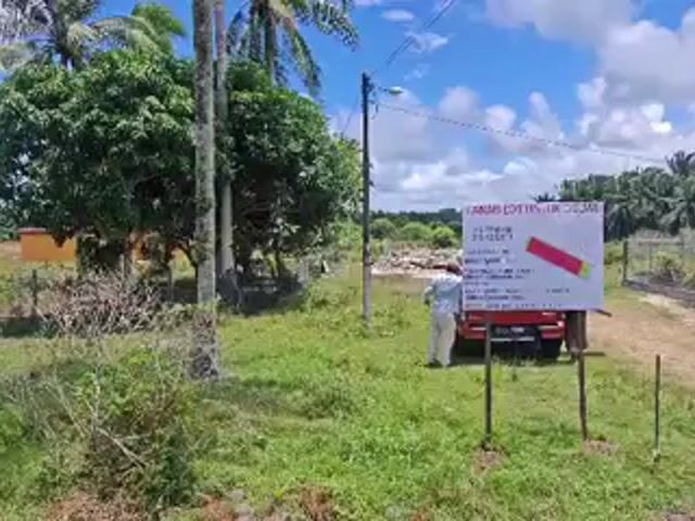 Video Image 1