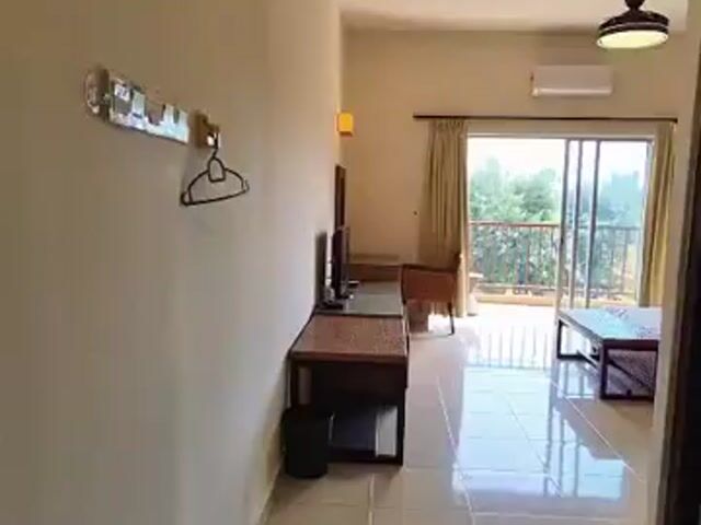 Video Image 1