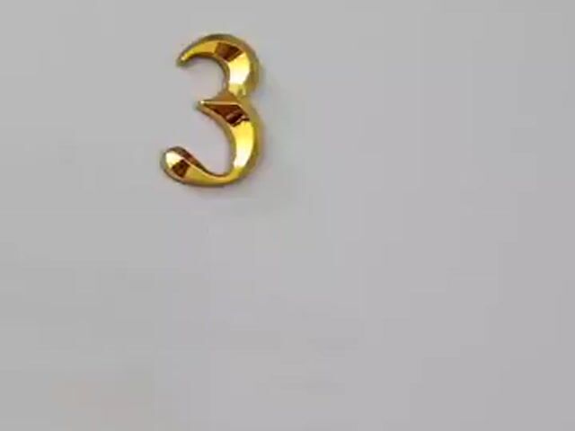 Video Image 1