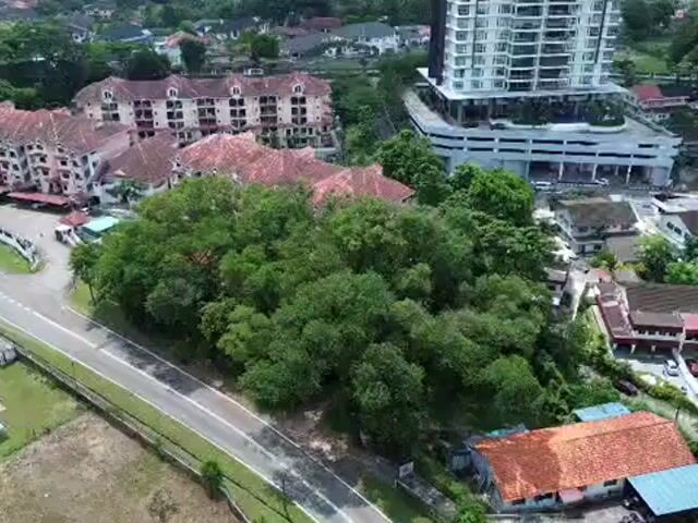 Video Image 1